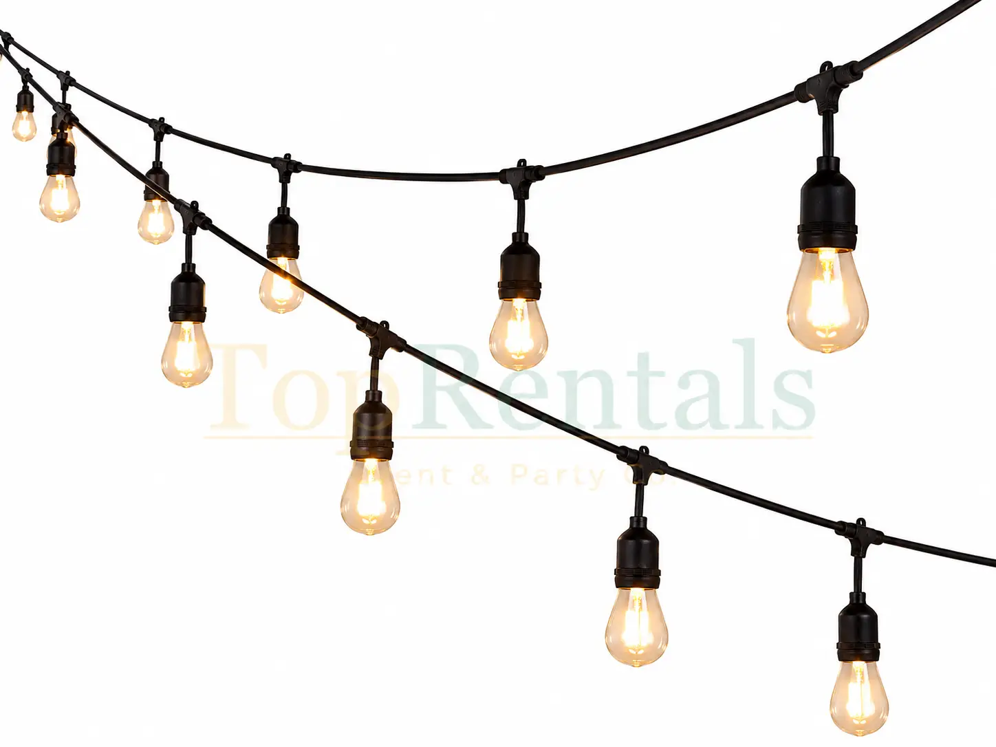 String Lights (50ft)